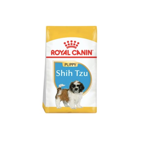 Shih-tzu Puppy 1.14kg