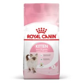 Kitten chaton 1.37kg/ 3.18kg