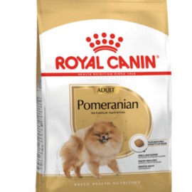 Pomeranian Adulto  1.1kg/ 4.5kg