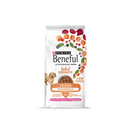 Beneful adulto todas las razas Salud Radiante salmón 10kg