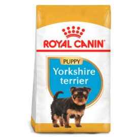 Yorkshire Terrier Puppy 1.14kg