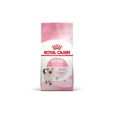 Kitten chaton 1.37kg/ 3.18kg