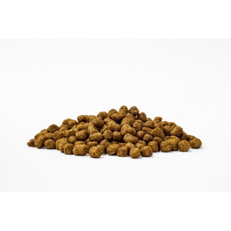 Hill’s Lata perro adulto Receta de pollo y cebada 370G