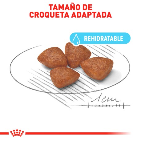 Hill’s alimento para perros 7+ bocados pequeños (2.0Kg / 6.8Kg)