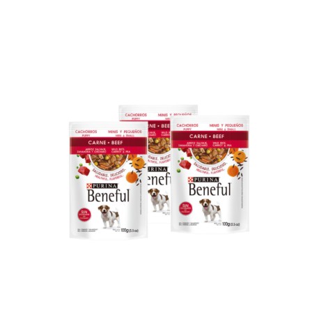 Combo 5 Sobres Beneful cachorro carne y arroz salvaje 1.20kg
